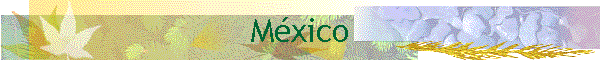 Mxico